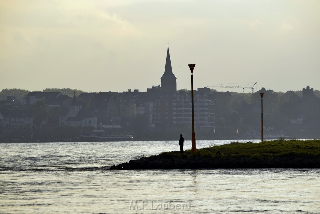 PRhein Koeln Porz Ensen Schwimmer untergegangen P157.JPG - Miklos Laubert